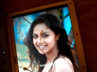 خواهر و برادر, تقدیر بر روی عکس ها, بازیگر