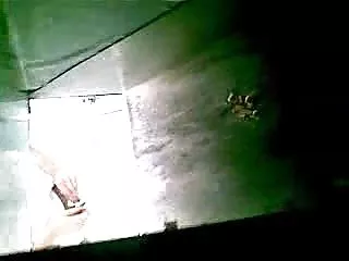 انجمن گرفتن و عضویت در خبر گیری, پورنو یکپارچهسازی با سیستمعامل