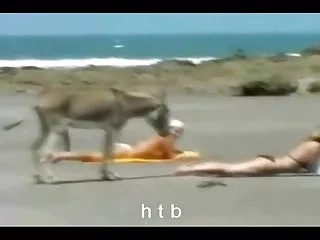 انجمن دختران دبیرستانی دوربین مخفی بهترین به شمار پورنو آنلاین